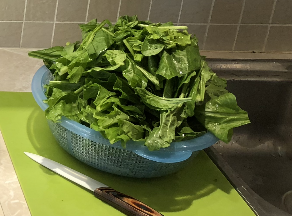 Blanched Spinach